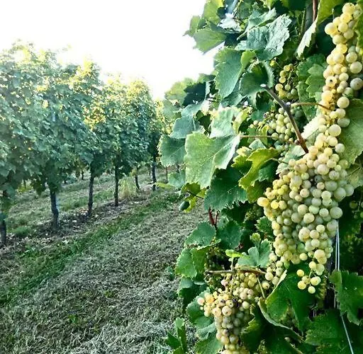 Relax Nelle Colline Del Prosecco Pederobba