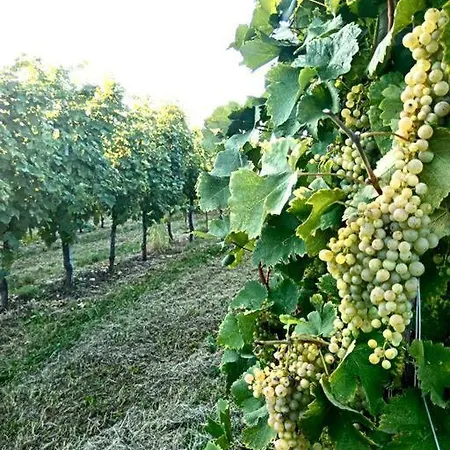 Relax Nelle Colline Del Prosecco Pederobba